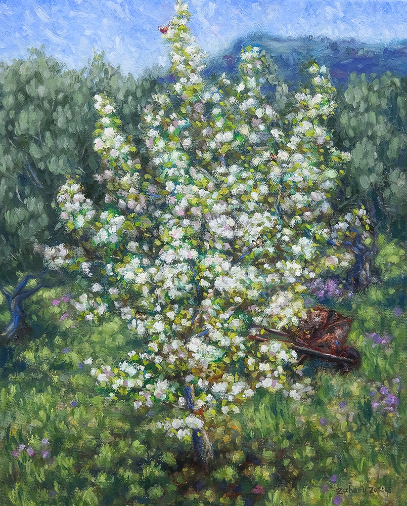 Blooming Pear Tree in a Village, Aegina Greece