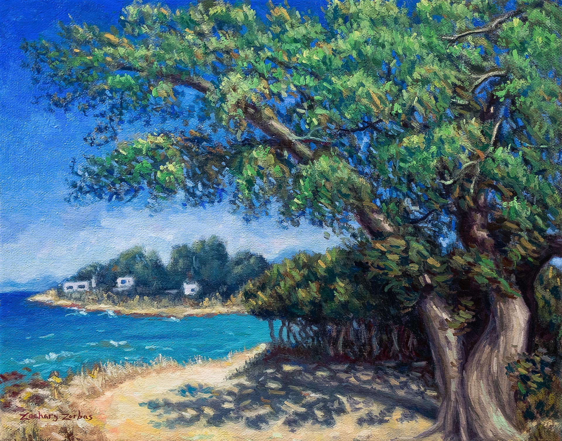 Juniper Tree at Horeftra Beach